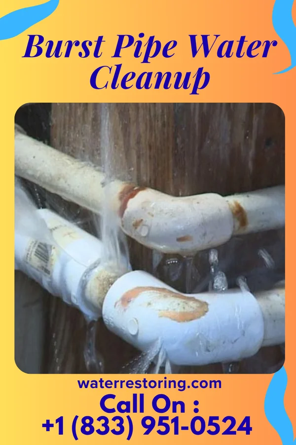 Burst Pipe Water Cleanup in Fort Johnson, NY