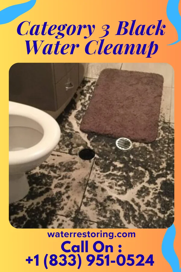 Category 3 Black Water Cleanup in Fort Johnson, NY