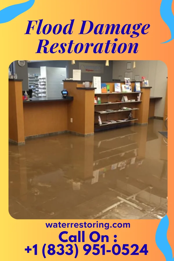 Flood Damage Restoration in Fort Johnson, NY