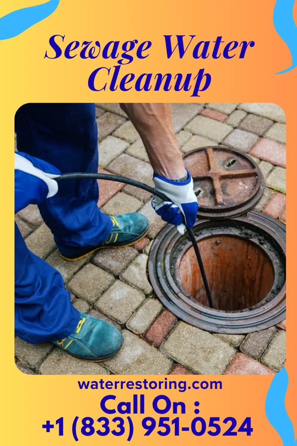 Sewage Water Cleanup in Fort Johnson, NY