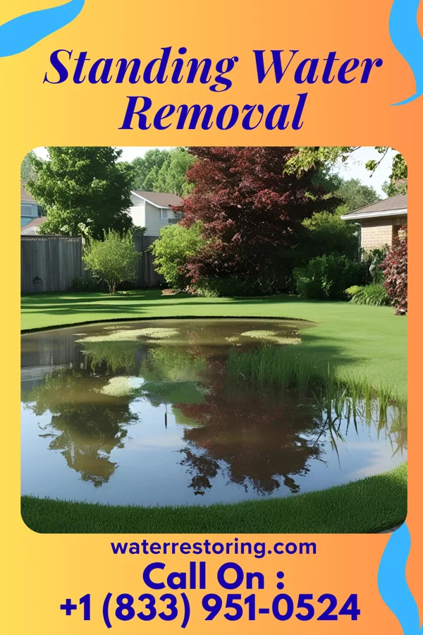 Standing Water Removal in Fort Johnson, NY